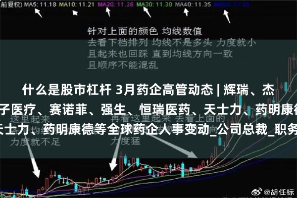 什么是股市杠杆 3月药企高管动态 | 辉瑞、杰特贝林、诺和诺德、西门子医疗、赛诺菲、强生、恒瑞医药、天士力、药明康德等全球药企人事变动_公司总裁_职务_发布公告