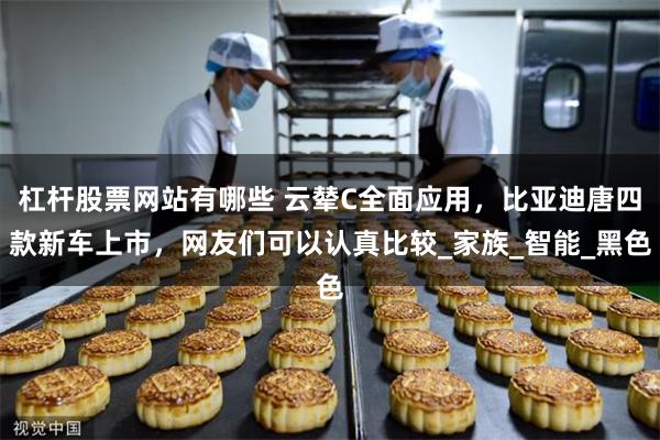 杠杆股票网站有哪些 云辇C全面应用，比亚迪唐四款新车上市，网友们可以认真比较_家族_智能_黑色