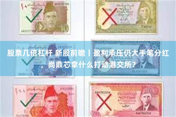 股票几倍杠杆 新股前瞻丨盈利承压仍大手笔分红，尚鼎芯拿什么打动港交所？