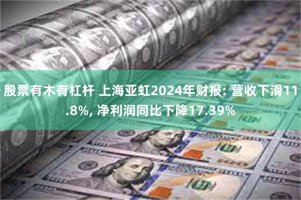 股票有木有杠杆 上海亚虹2024年财报: 营收下滑11.8%, 净利润同比下降17.39%