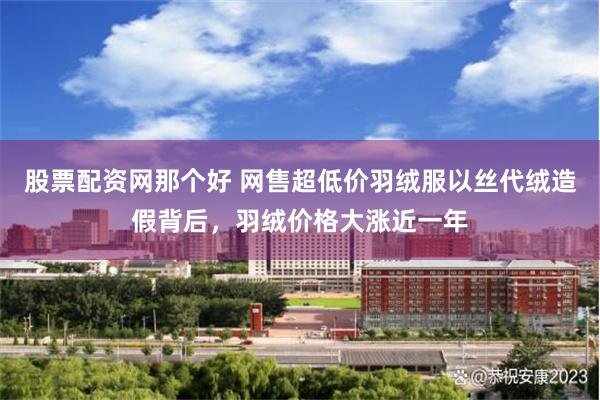 股票配资网那个好 网售超低价羽绒服以丝代绒造假背后，羽绒价格大涨近一年
