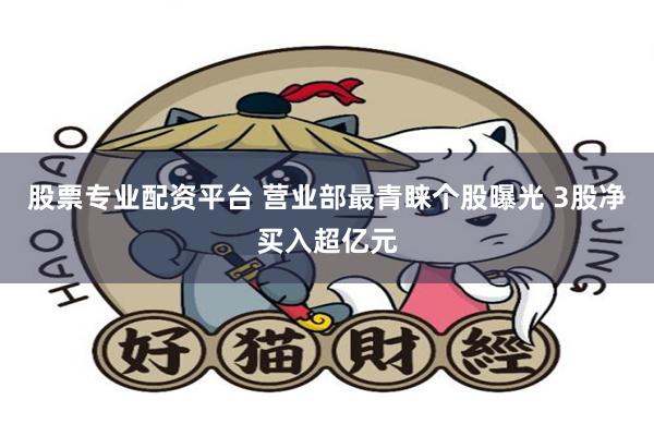 股票专业配资平台 营业部最青睐个股曝光 3股净买入超亿元