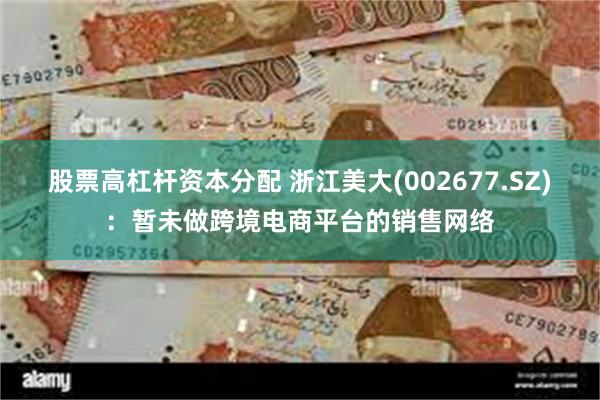 股票高杠杆资本分配 浙江美大(002677.SZ)：暂未做跨境电商平台的销售网络