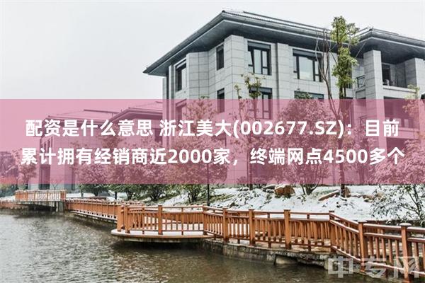 配资是什么意思 浙江美大(002677.SZ)：目前累计拥有经销商近2000家，终端网点4500多个