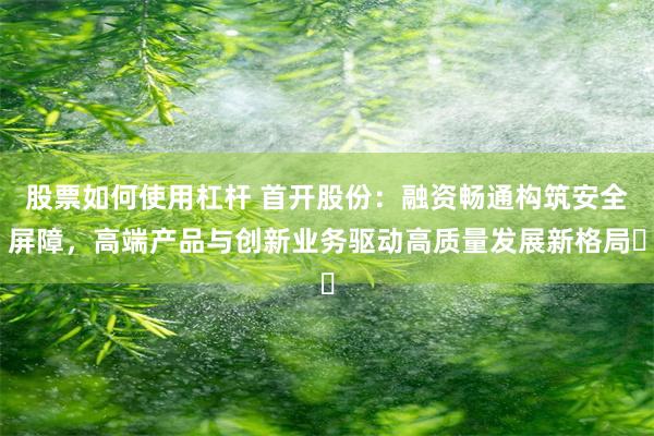 股票如何使用杠杆 首开股份：融资畅通构筑安全屏障，高端产品与创新业务驱动高质量发展新格局​