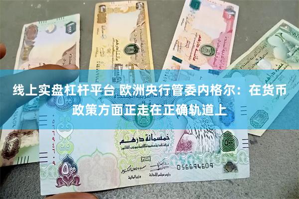 线上实盘杠杆平台 欧洲央行管委内格尔：在货币政策方面正走在正确轨道上