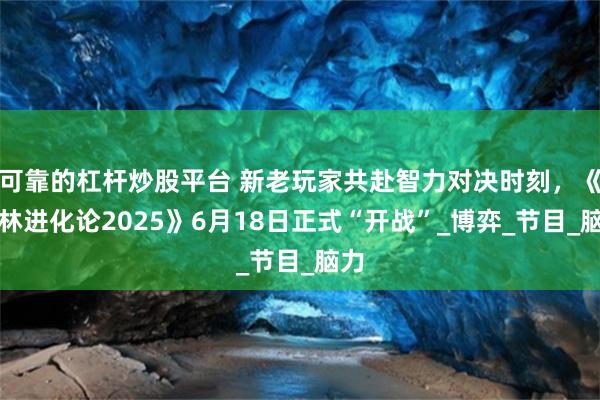可靠的杠杆炒股平台 新老玩家共赴智力对决时刻，《森林进化论2025》6月18日正式“开战”_博弈_节目_脑力