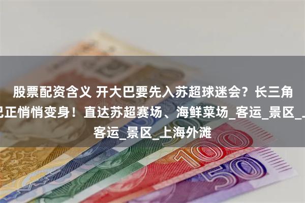 股票配资含义 开大巴要先入苏超球迷会？长三角长途大巴正悄悄变身！直达苏超赛场、海鲜菜场_客运_景区_上海外滩