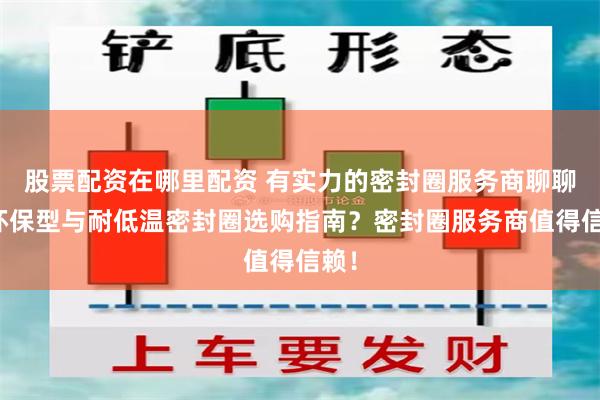 股票配资在哪里配资 有实力的密封圈服务商聊聊，环保型与耐低温密封圈选购指南？密封圈服务商值得信赖！
