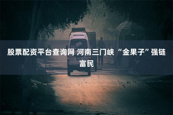 股票配资平台查询网 河南三门峡 “金果子”强链富民