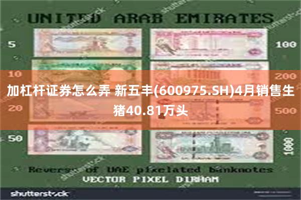 加杠杆证券怎么弄 新五丰(600975.SH)4月销售生猪40.81万头